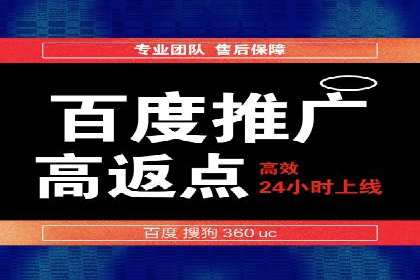 百度推广成功案例：打造行业领军品牌之路